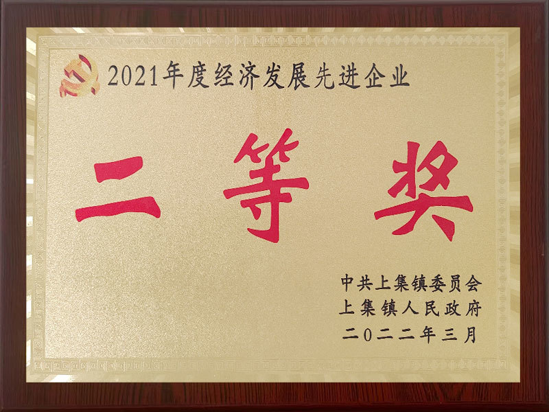 2021年度經(jīng)濟(jì)發(fā)展企業(yè)二等獎(jiǎng)