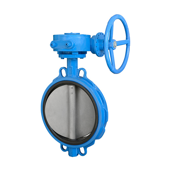 Concentric butterfly valve
