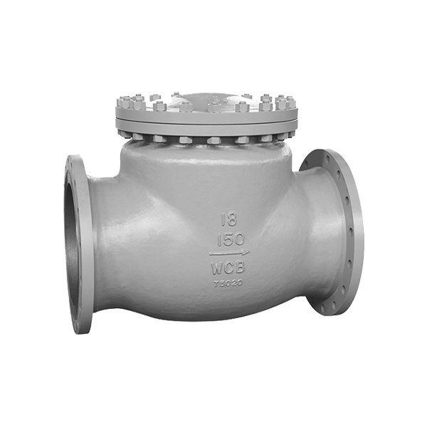 Chinese standard Swing Check Valve