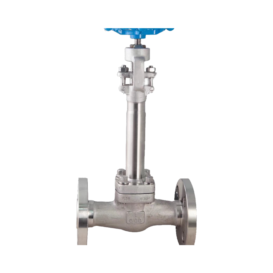 Low temperature globe valve
