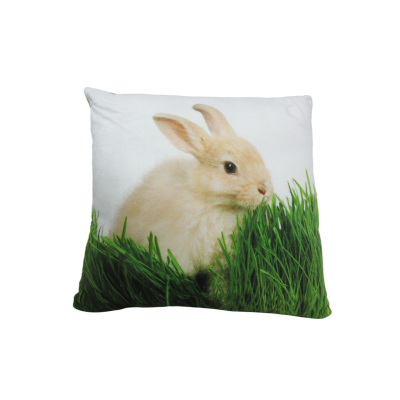 Soft Printed Pillow