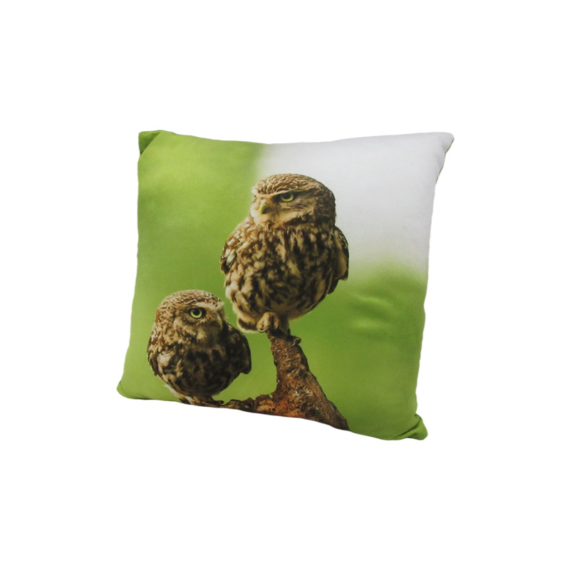 Soft Printed Pillow
