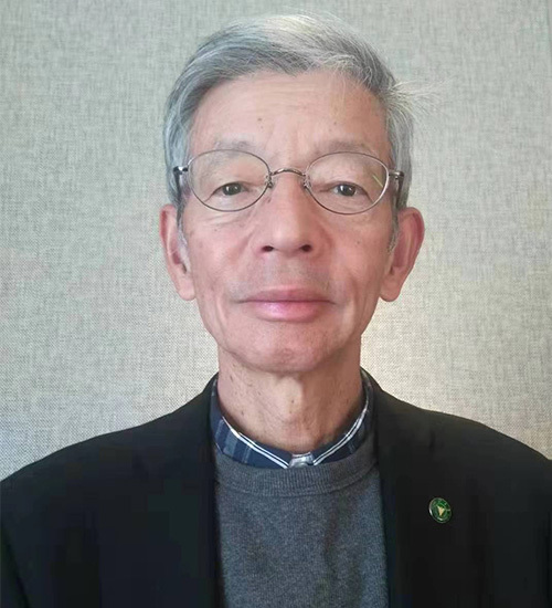 纳富羲宝（日本）