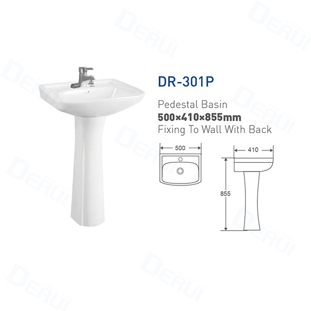 DR-301P