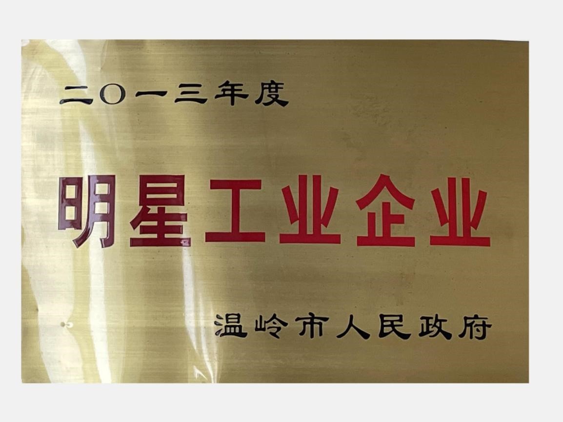 浙江恒泰源聚氨酯有限公司荣获温岭市2019年度“二十强工业企业”称号