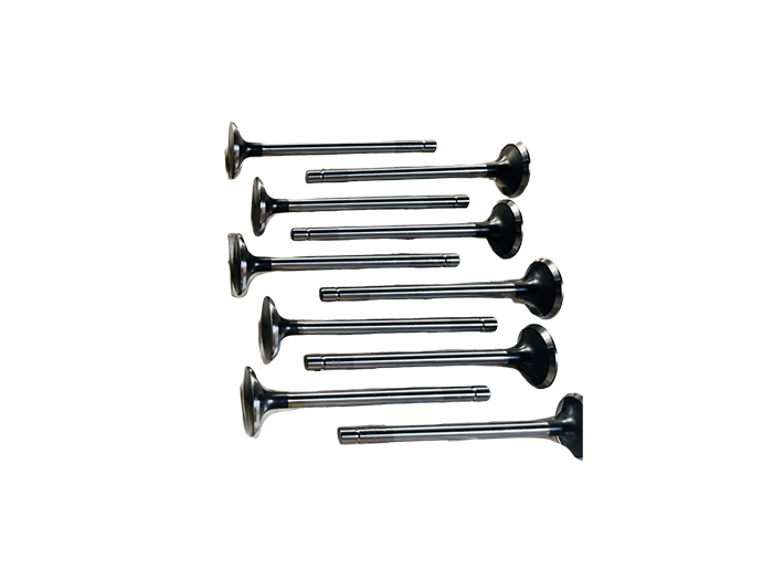 Intake and exhaust pipe