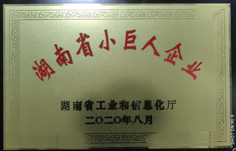湖南省專精特新小巨人企業(yè)