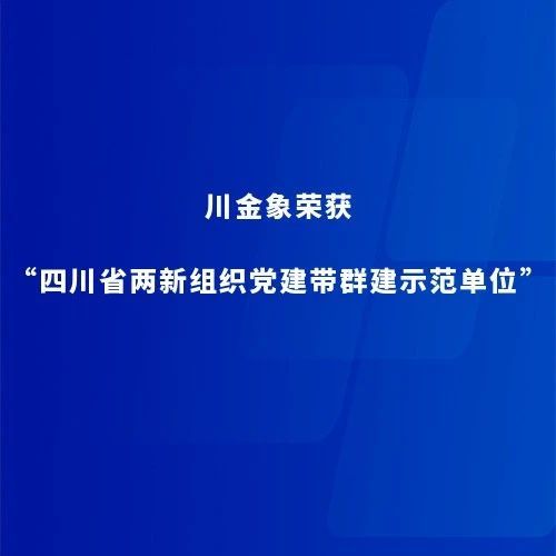 川金象榮獲“四川省兩新組織黨建帶群建示范單位”