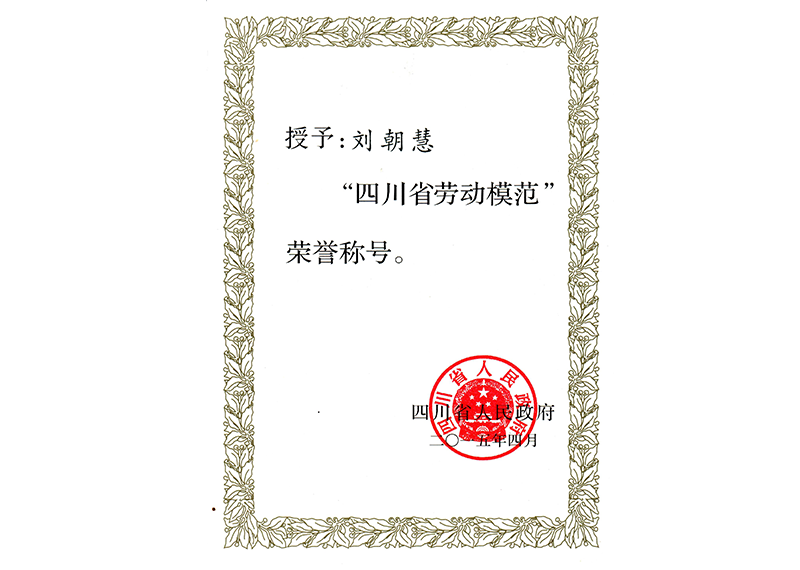 四川省勞動(dòng)模范—?jiǎng)⒊? title=