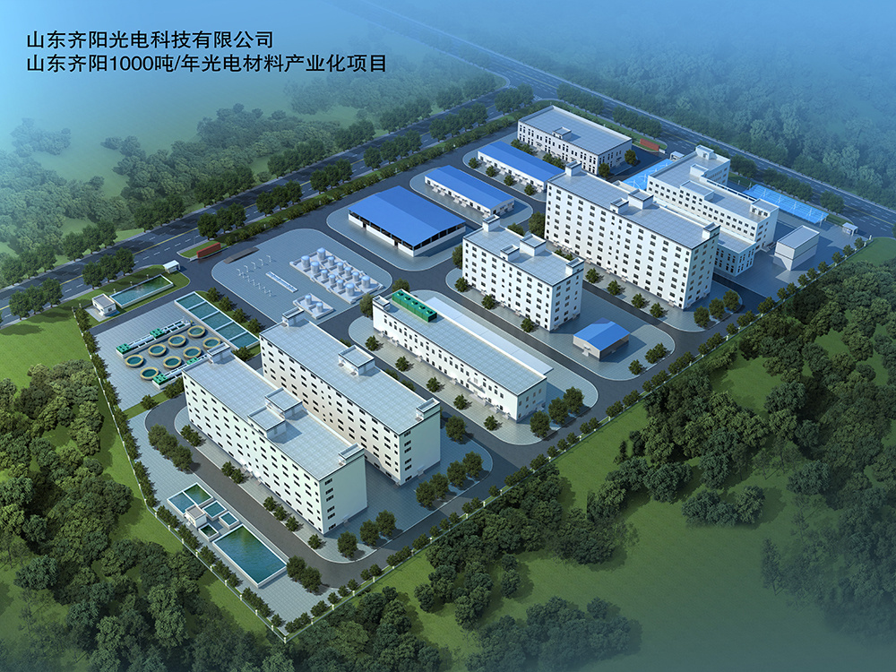 山東齊陽光電科技有限公司