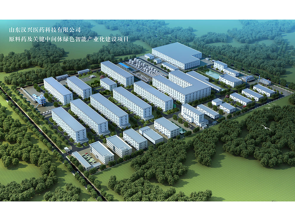 山東漢興醫(yī)藥科技有限公司