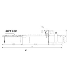 Fully automatic packaging line for noodles