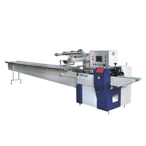 QNS450 Double servo motors control packaging machine