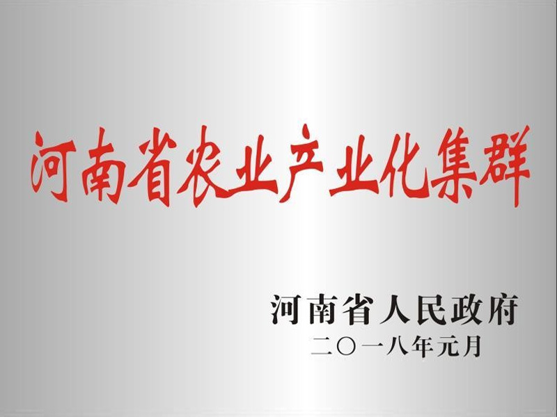 2018年河南省农业工业化集群