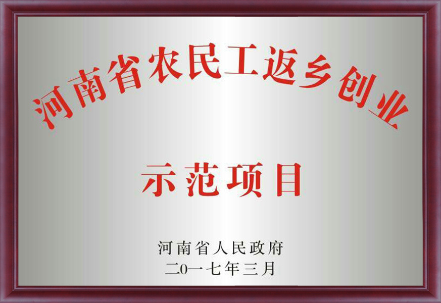 河南省农民工返乡创业树模项目