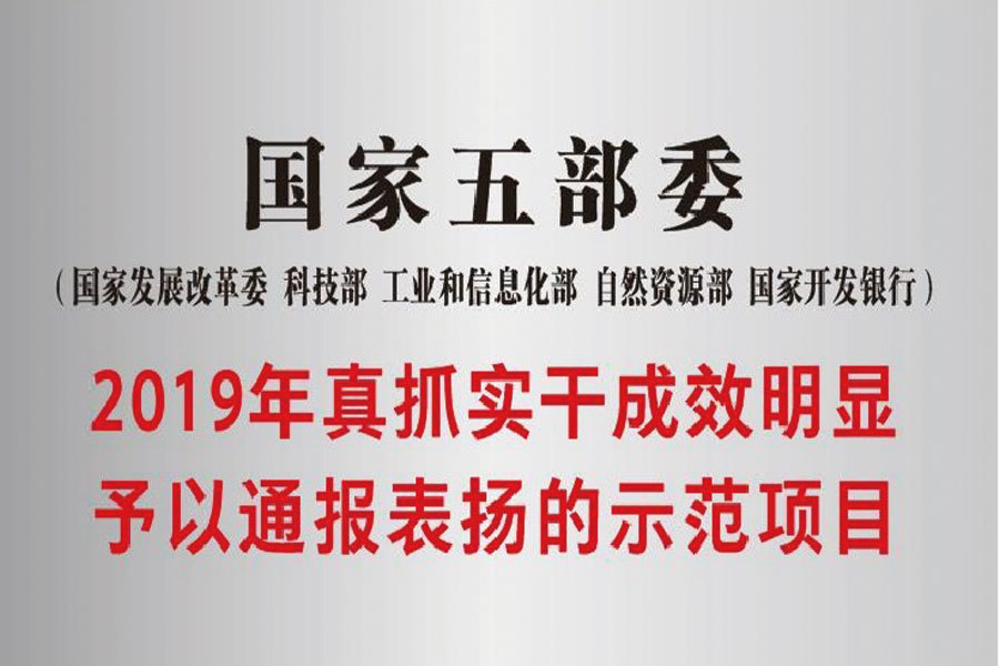 國家五部委2019年真抓實干成效明顯予以通報表揚的示范項目