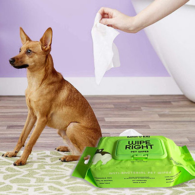 Pet Wipes