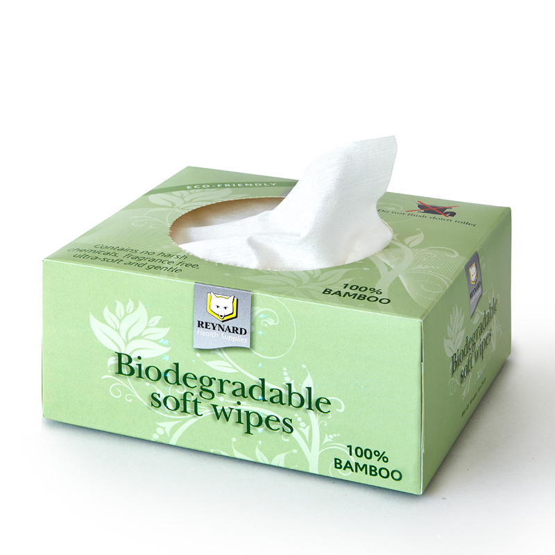 Are Biodegradable Wipes Really Flushable?