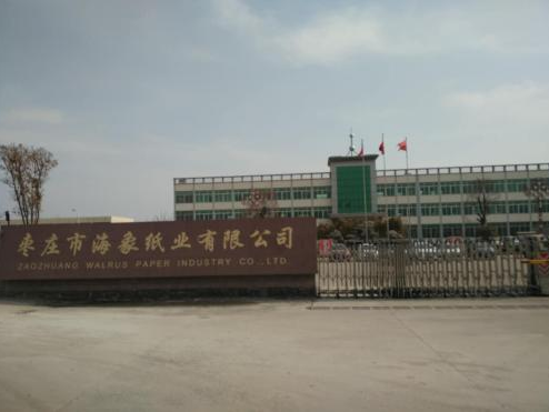 棗莊海象紙業發電廠