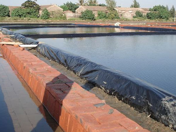 How many years can fish pond anti-seepage membrane be used?