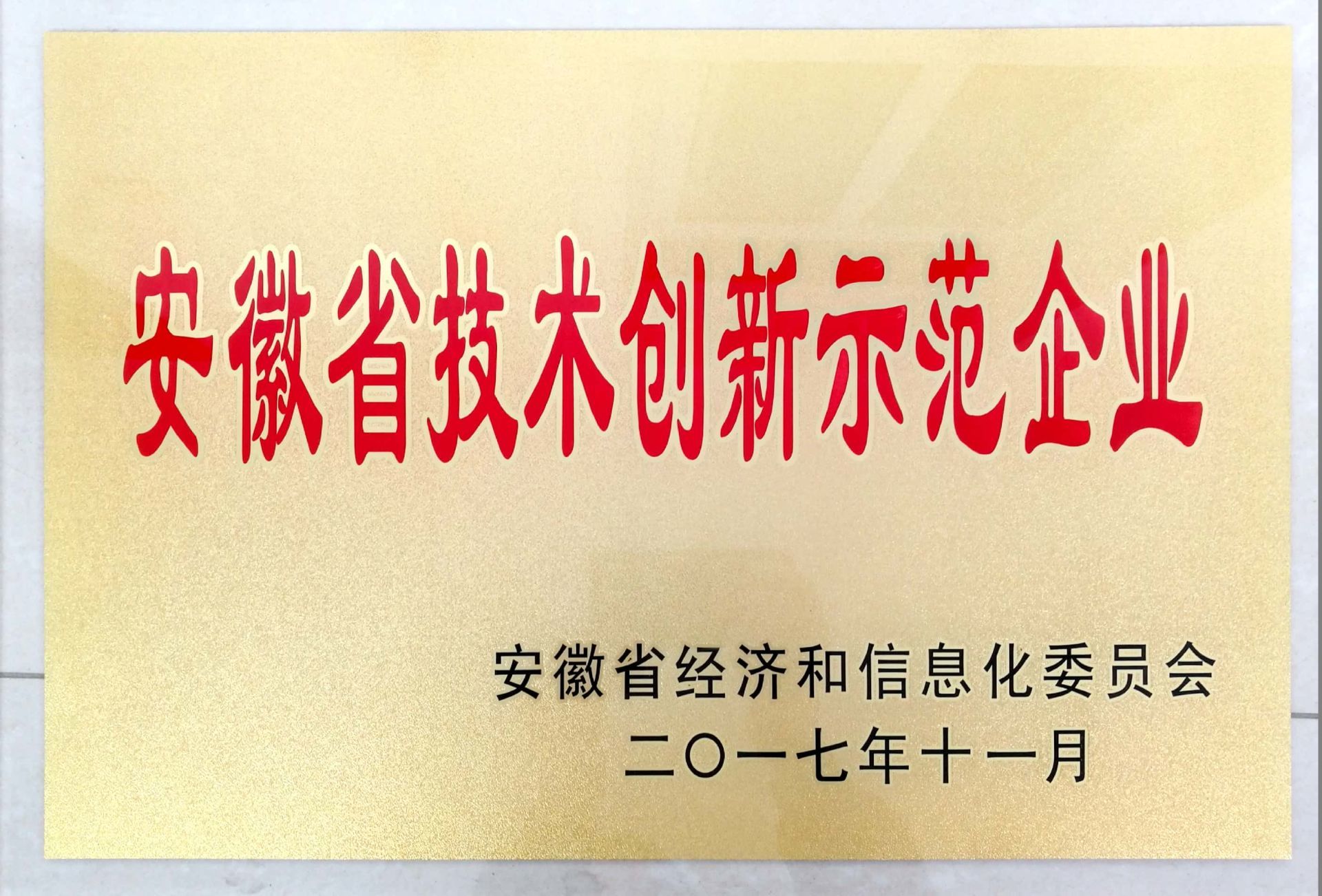 安徽省技術(shù)創(chuàng)新示范企業(yè)