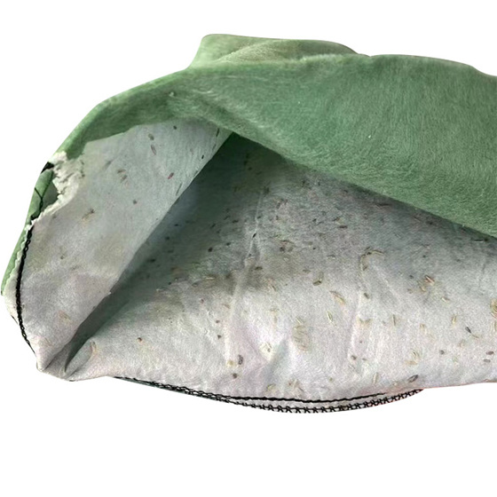 بذور العشب geobag