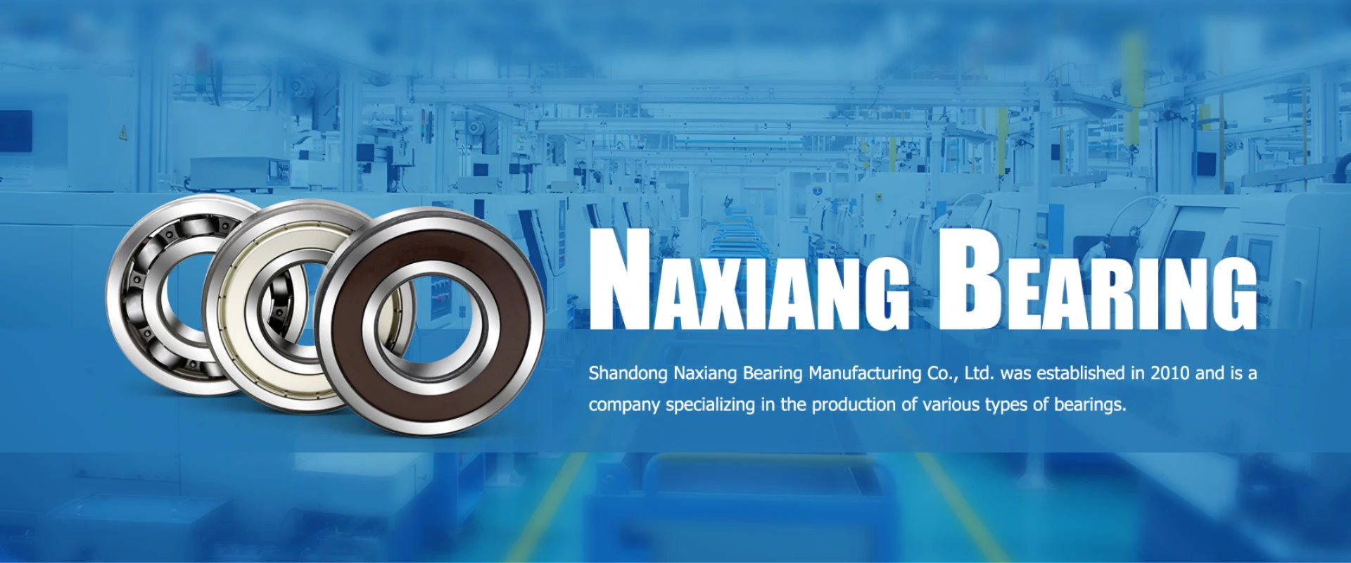 Naxiang Bearing