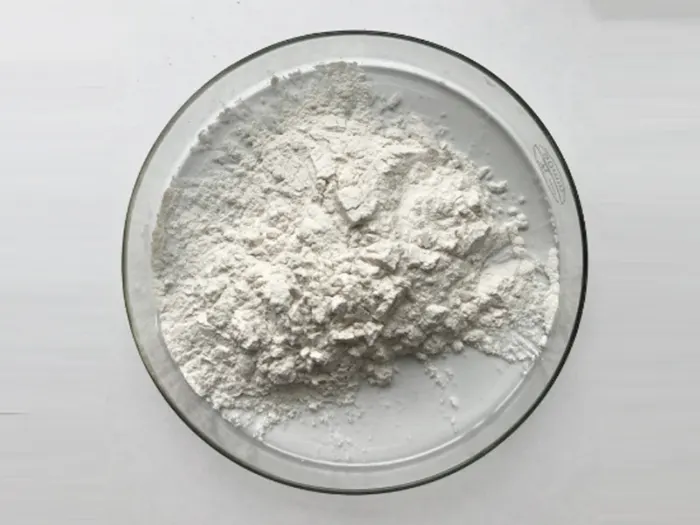 CNF spray dry powder