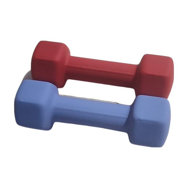 LZX-011 Plastic Dipping Small Dumbbells