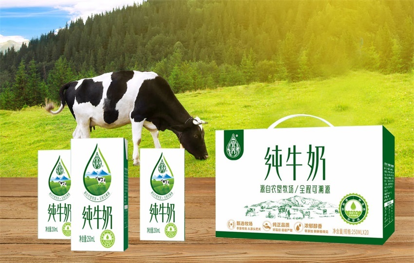 宜養(yǎng)純牛奶全面上市