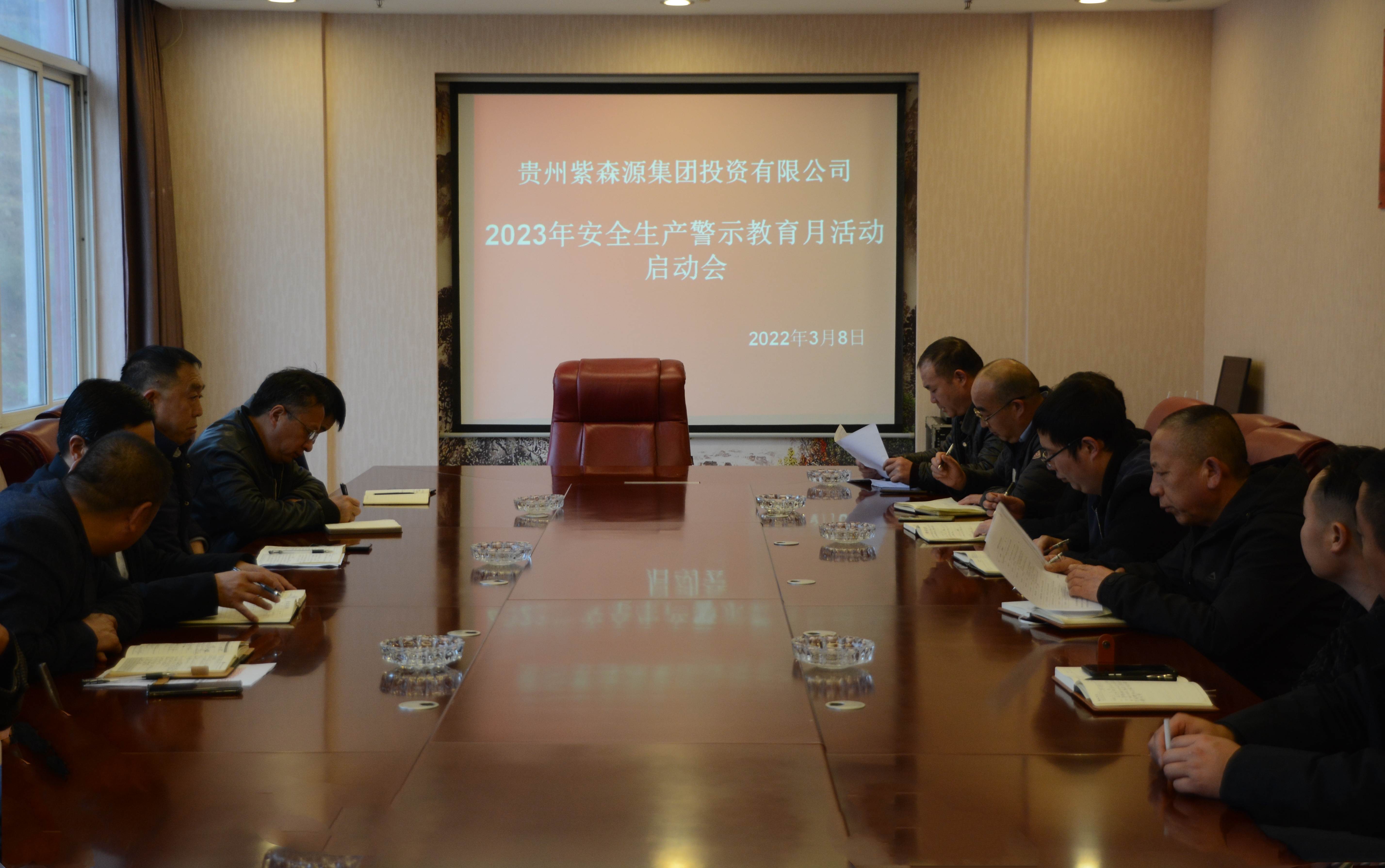 公司认真开展安全生产“警示教育月”活动
