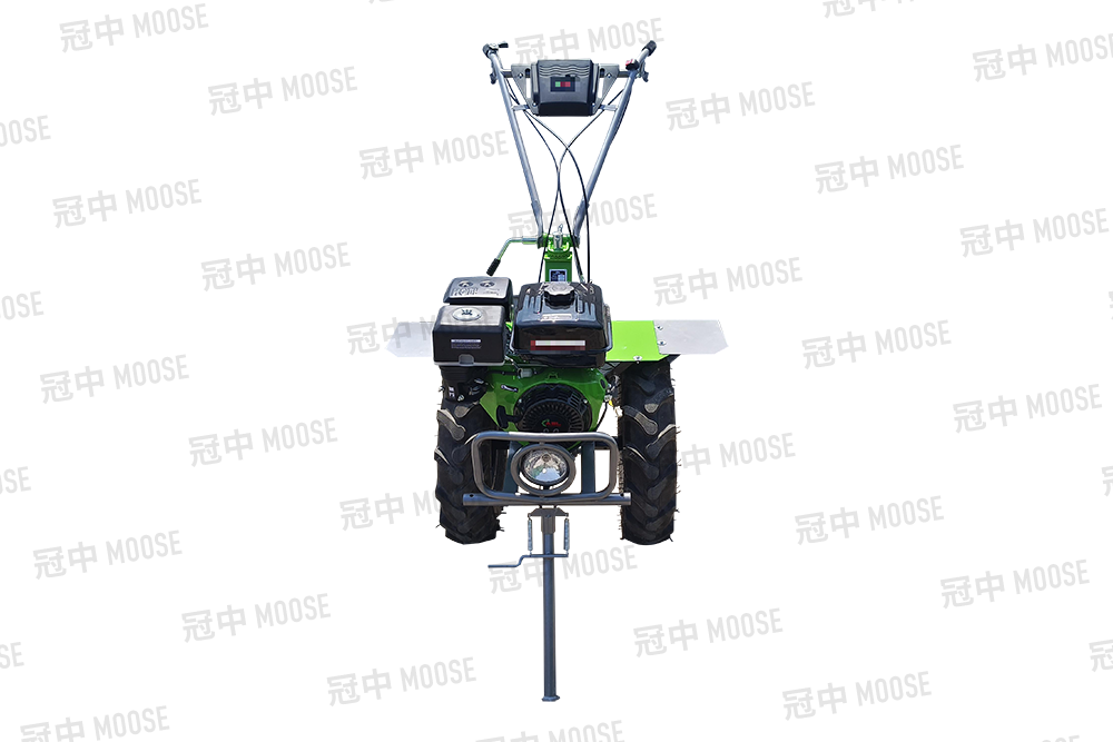 GZ1000G 190F gasoline version