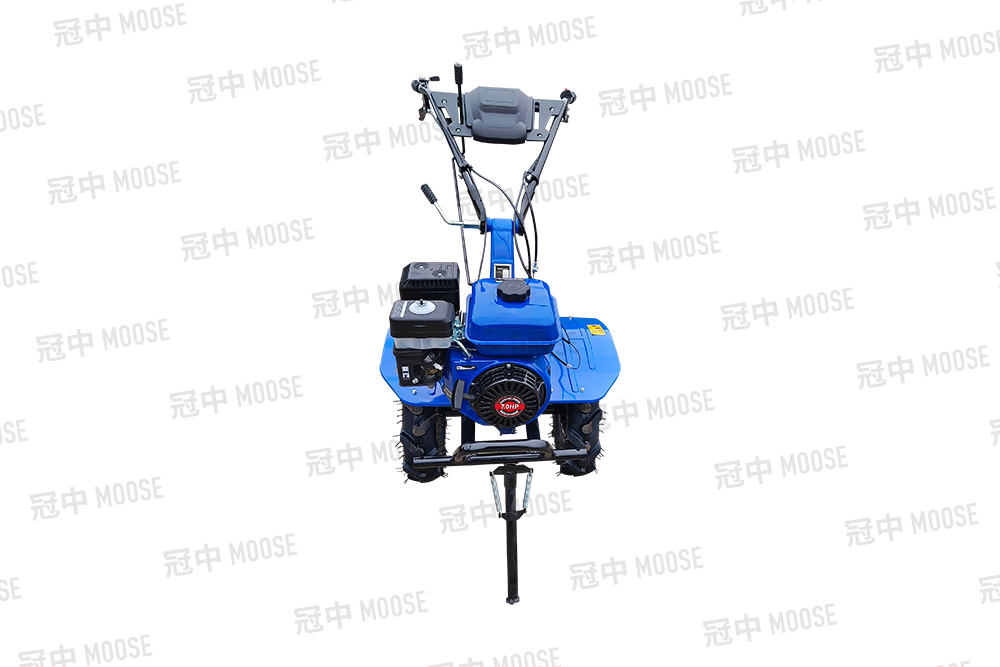 GZ1000A 170F gasoline version 01