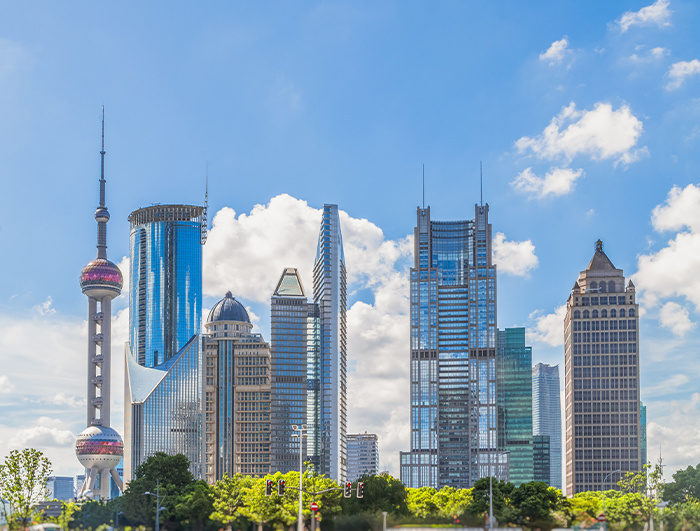 Shanghai Weiwei Technology Co., Ltd.