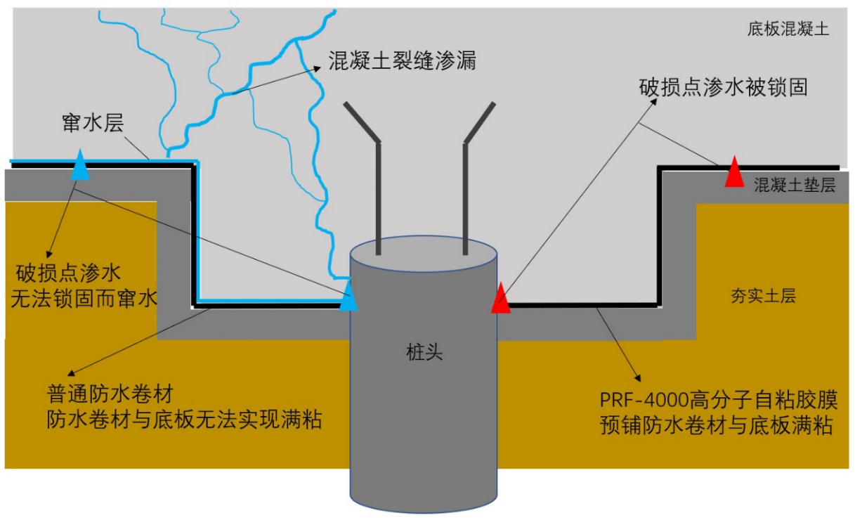 2025新澳门免费原料宝典