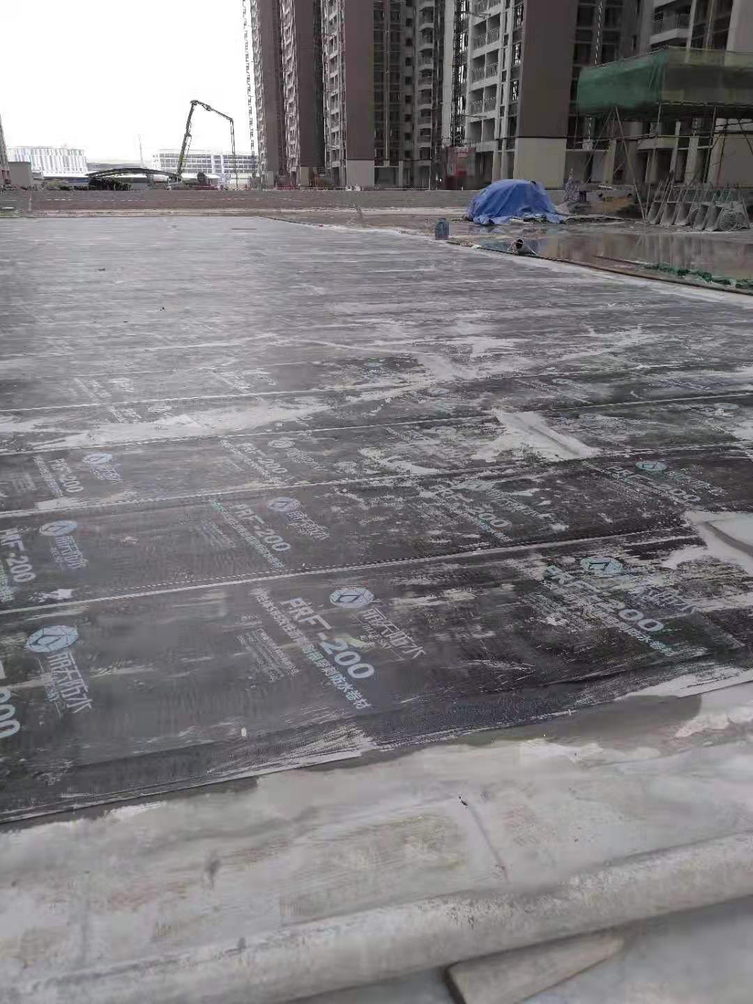 丽水