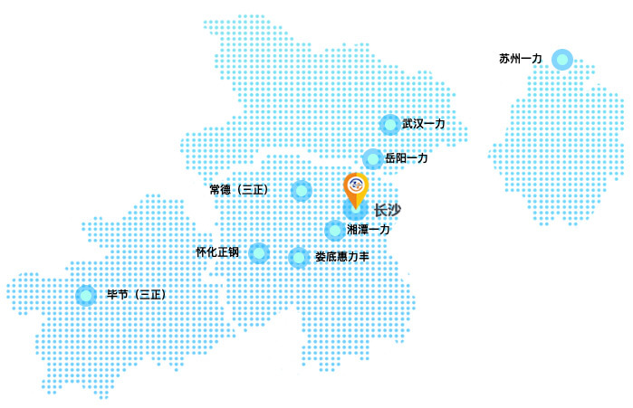 湖南一力股份有限公司