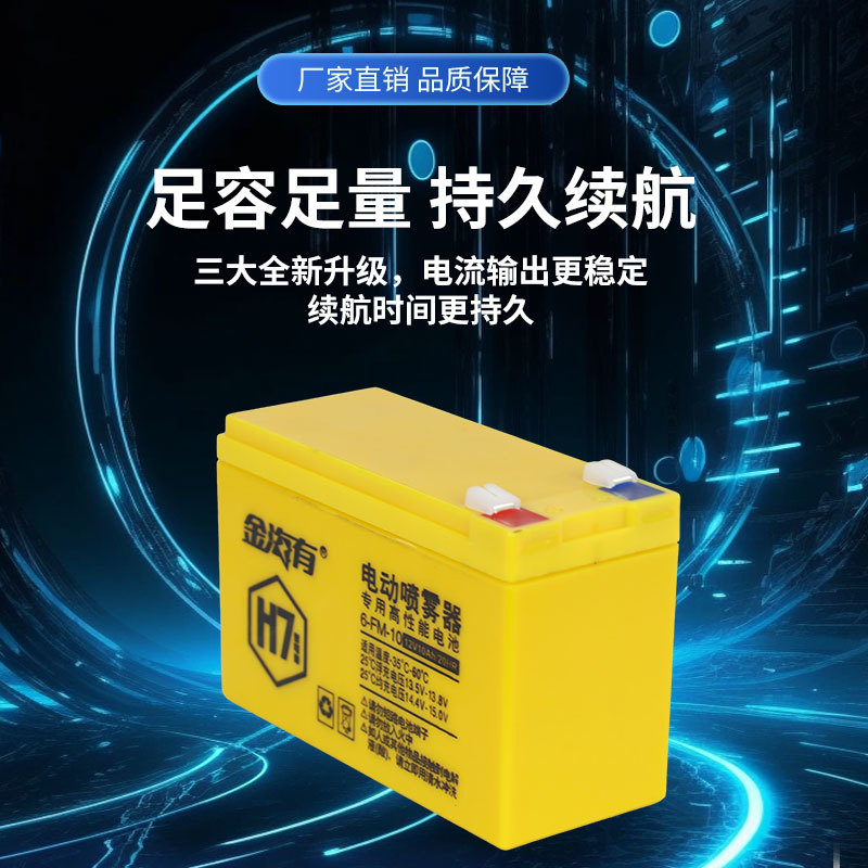 6-FM-10（12V10AH）