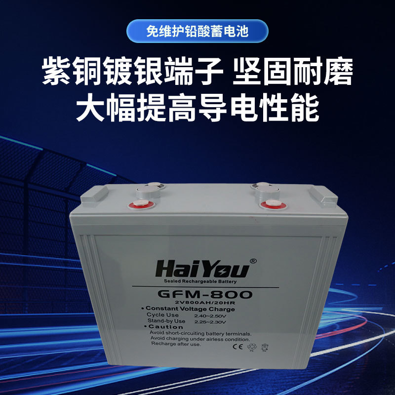 2V800AH