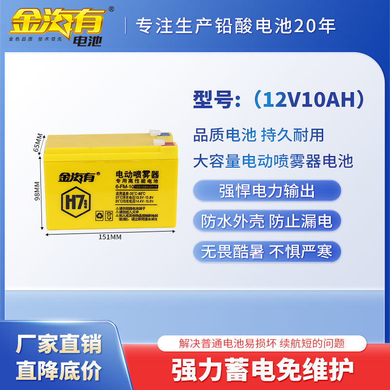 6-FM-10（12V10AH）