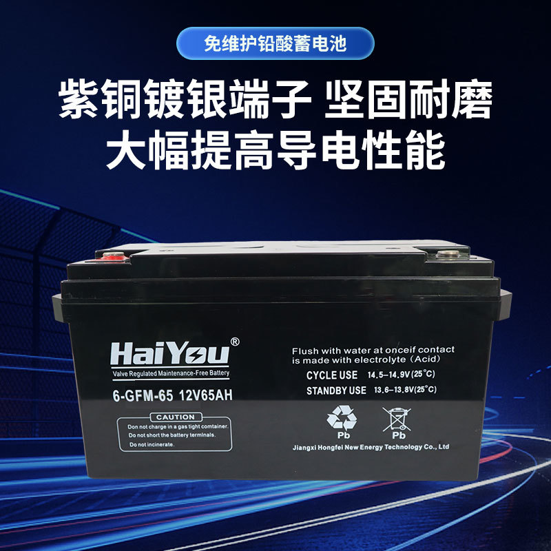 12V65AH