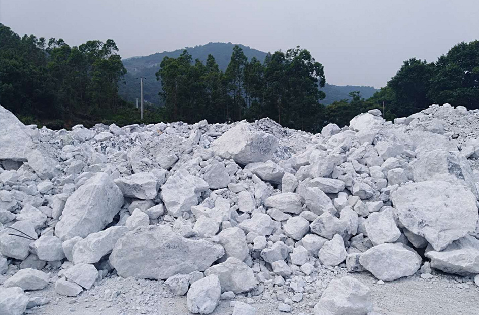 Use and consumption of wollastonite
