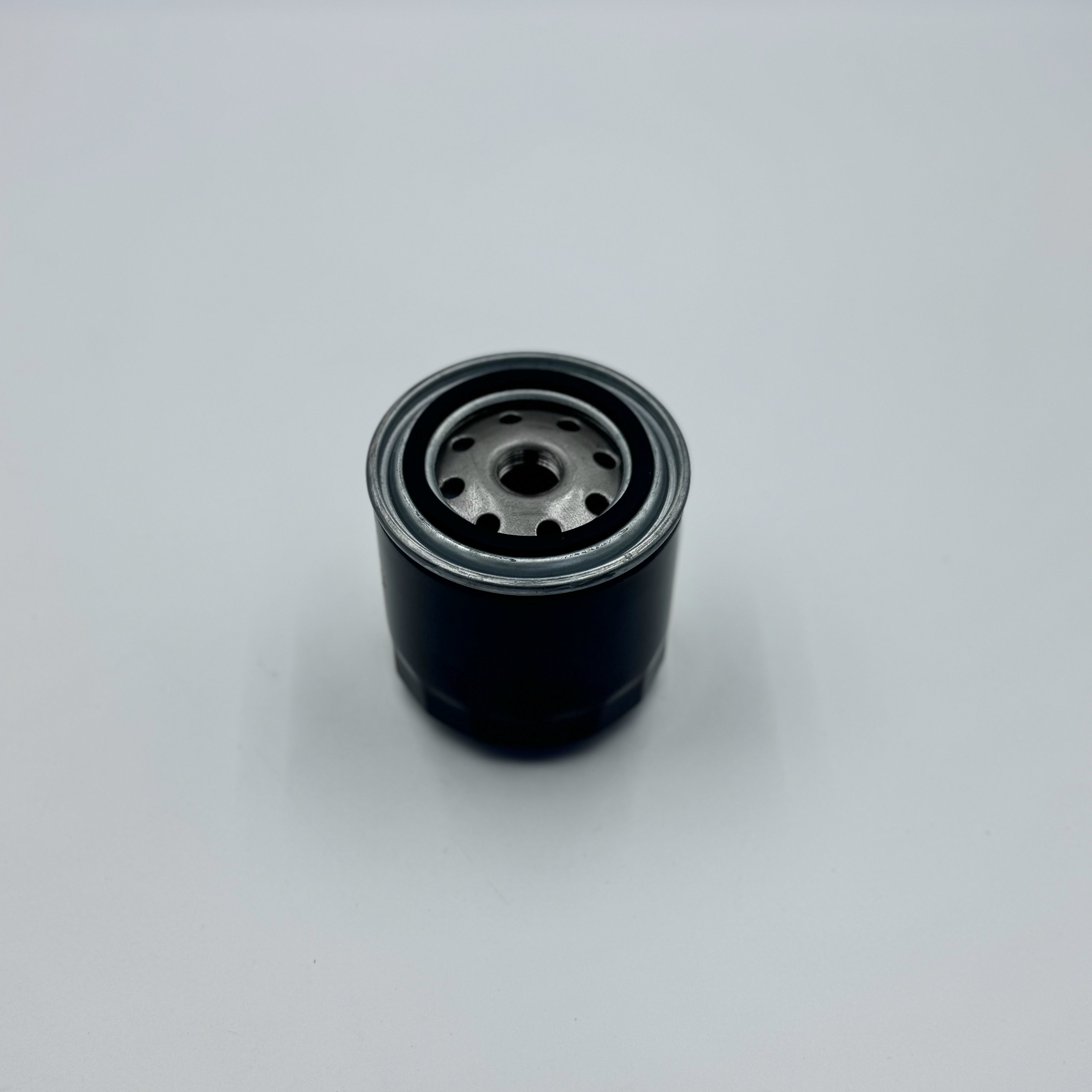 Oil filter 481H-1012010
