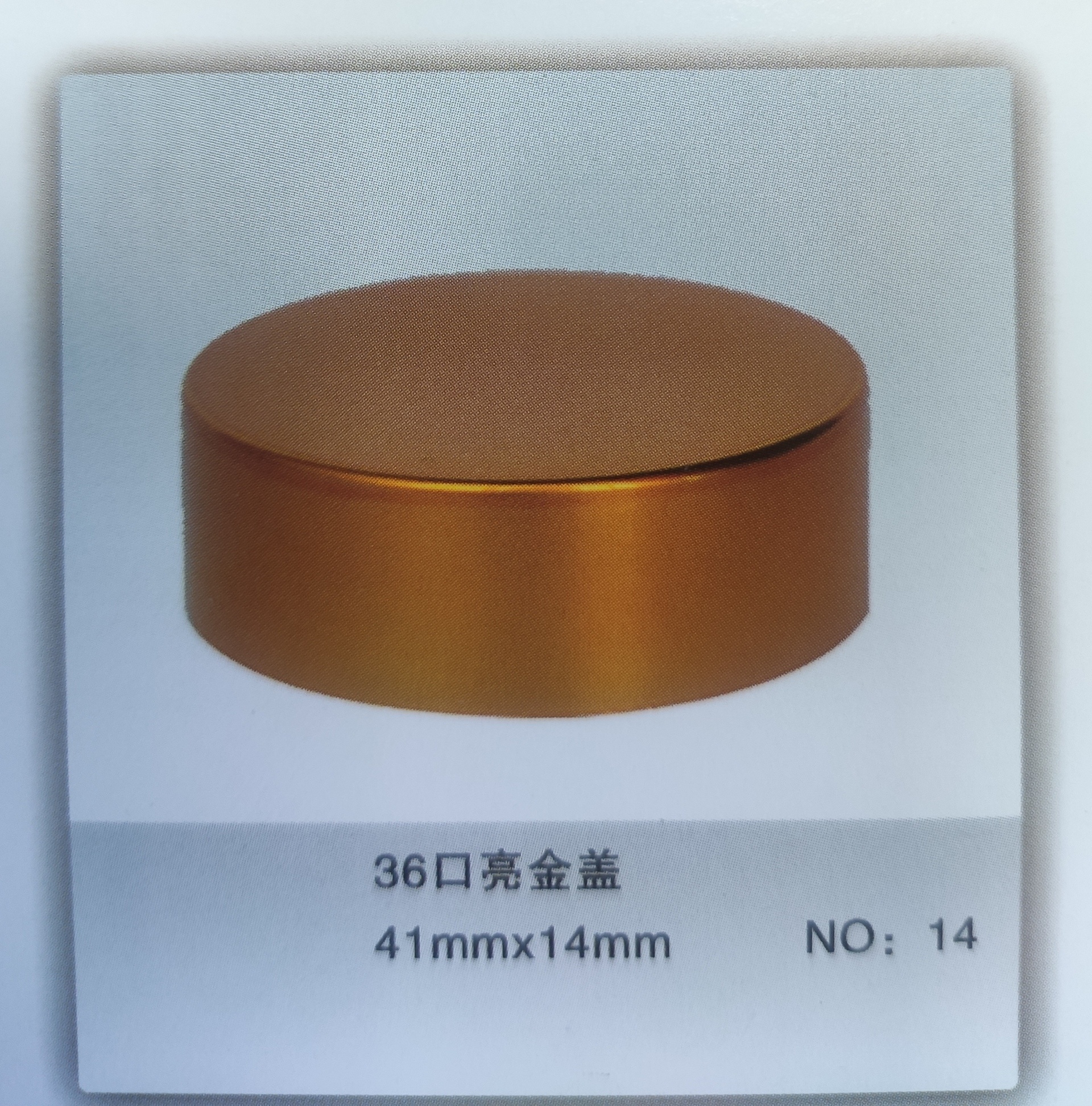 36 口亮金蓋