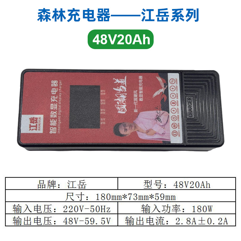 江岳 48V20Ah