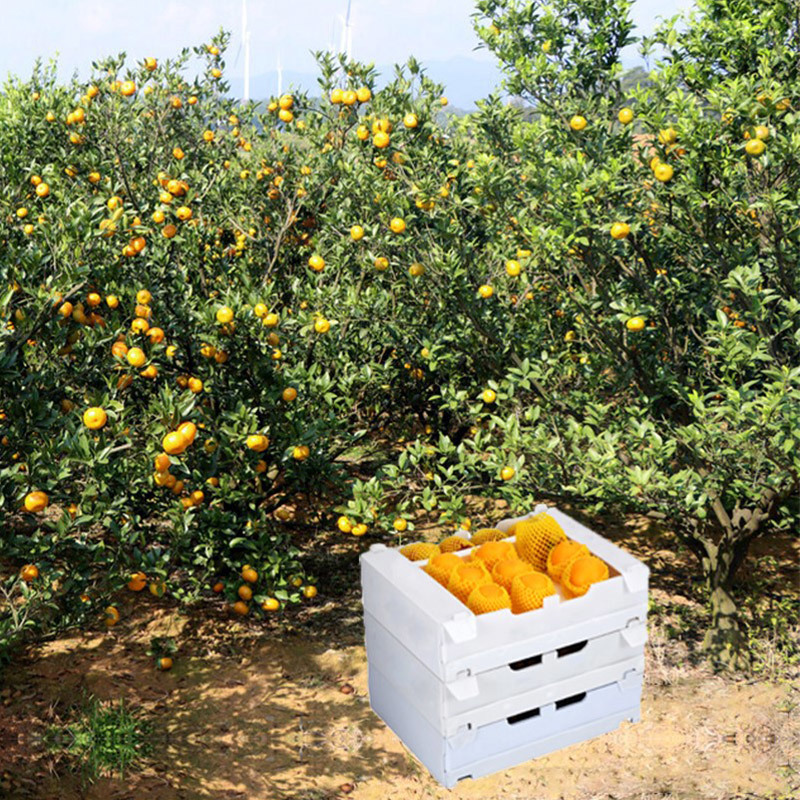 Orange stone plastic box