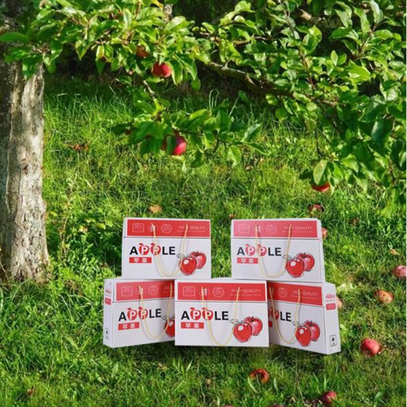 Apple stone plastic box