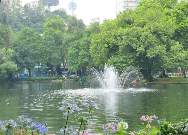 Picture Name