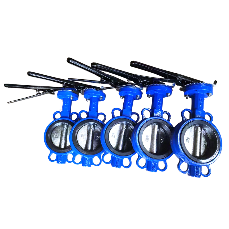 Butterfly Valve Rubber Vulcanized Inner