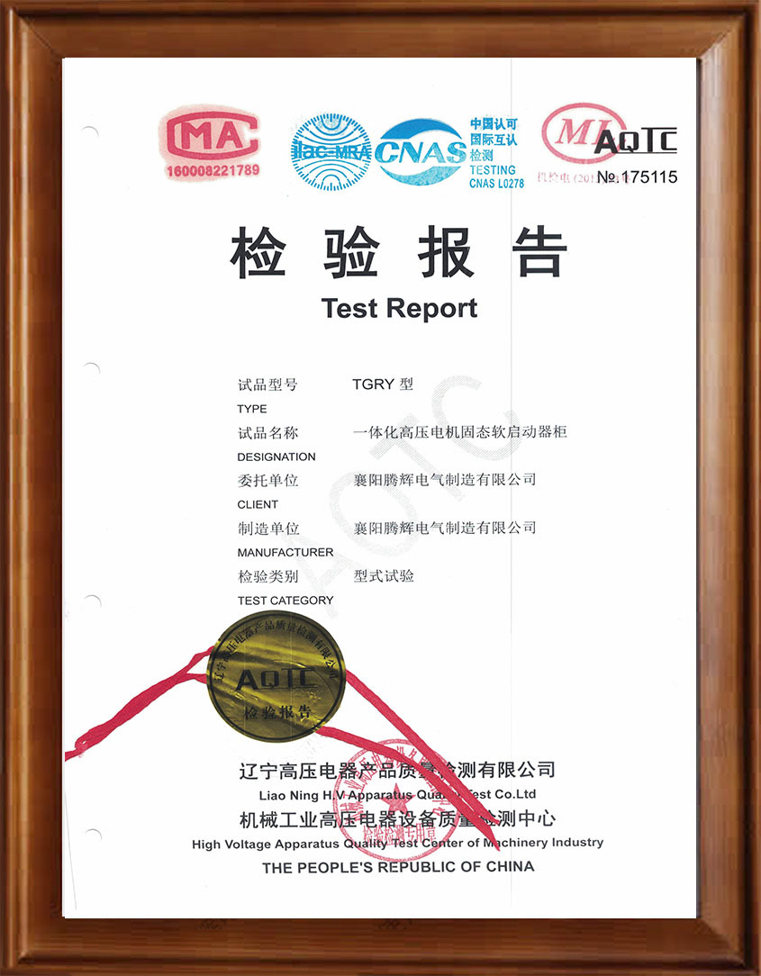 一體化高壓電機固態(tài)軟啟動器柜TGRY型式試驗報告